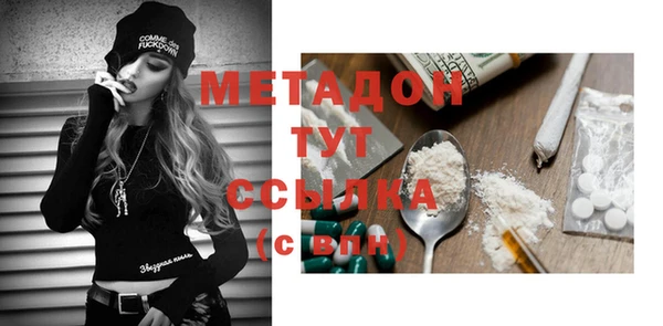 стаф Вязьма