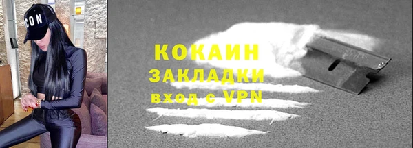 стаф Вязьма