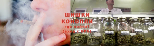 стаф Вязьма