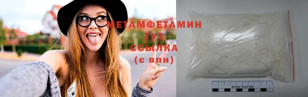 стаф Вязьма