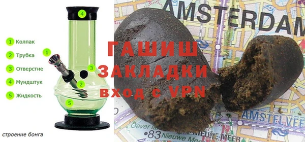 стаф Вязьма