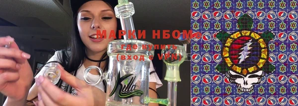 стаф Вязьма