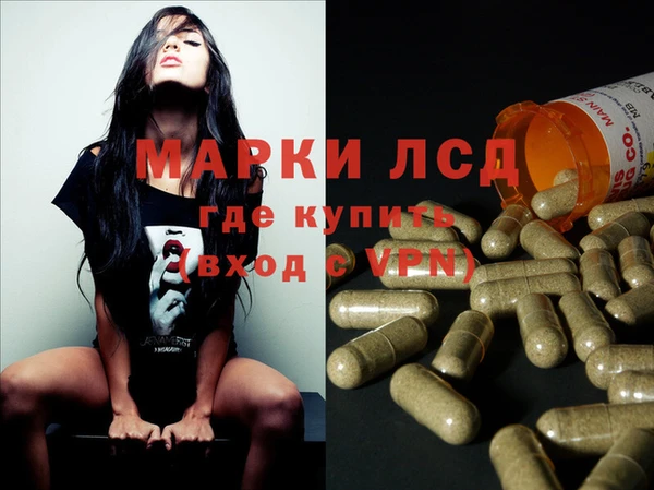 стаф Вязьма