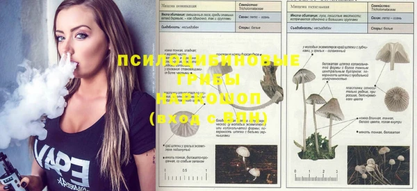 jwh Вязники